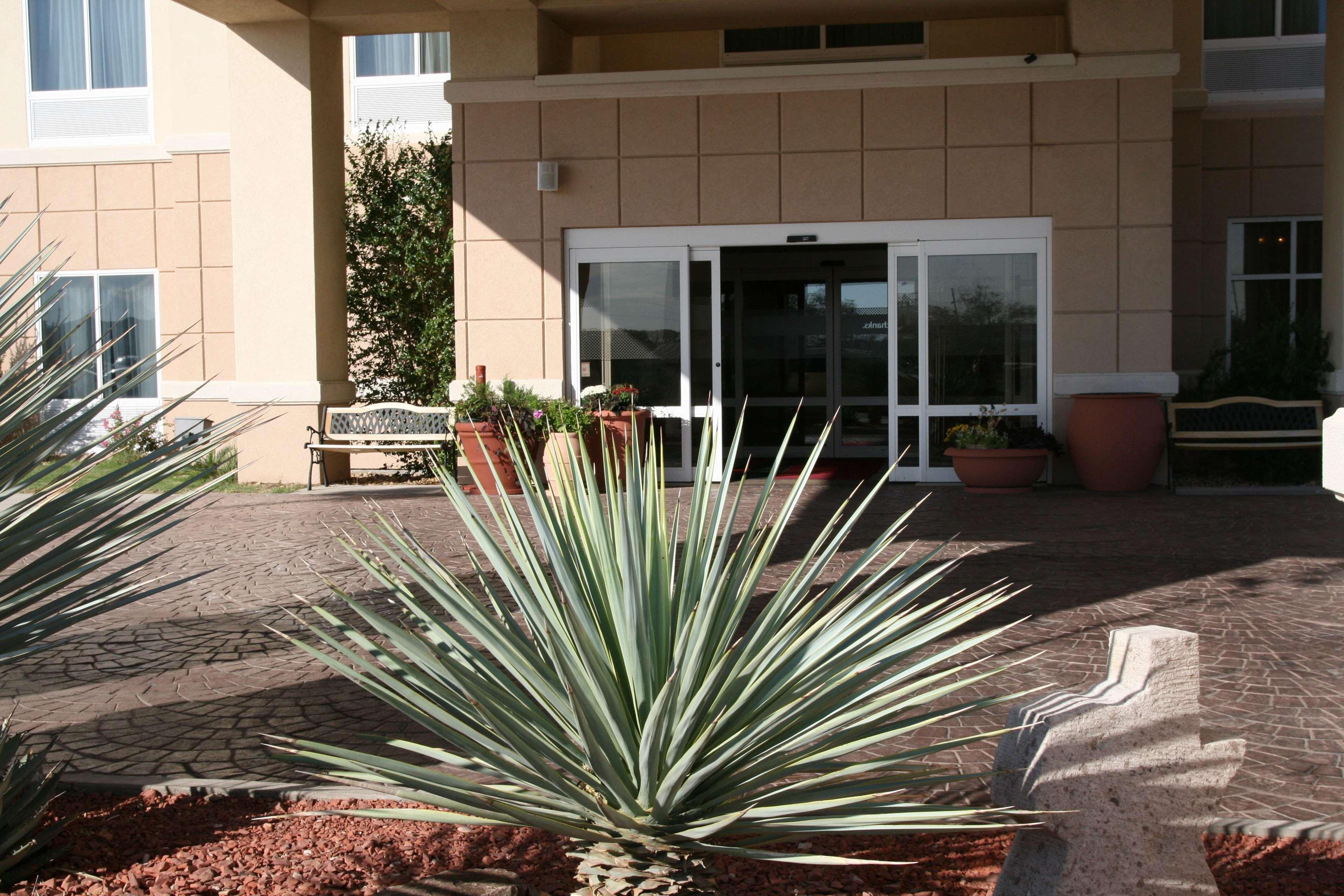 Hampton Inn Alpine Bagian luar foto